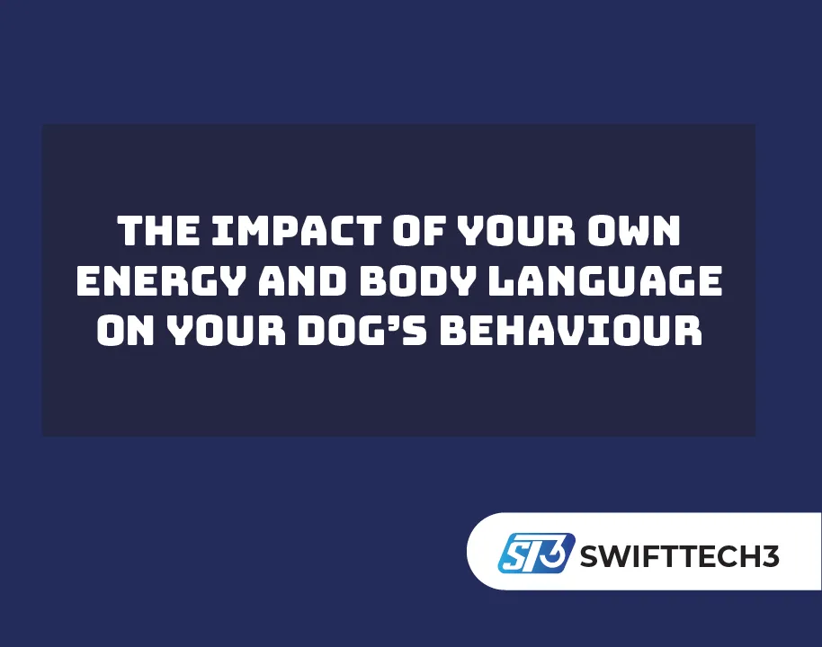 The Impact of Your Own Energy and Body Language on Your Dog’s Behaviour